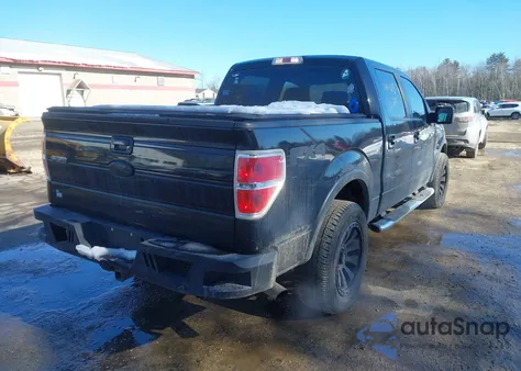 2009 Ford F-150 Fx4/King Ranch/Lariat/Platinum/Xl/Xlt from USA, damaged, VIN 1FTPW14V39FA75827